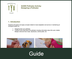 GUIDE Pollinator Activity