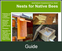 Nests for bees